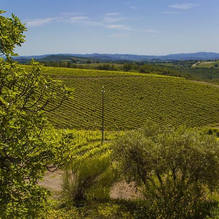 Vila Fattoria Di Magliano Winery Magliano in Toscana Pokoj fotografie