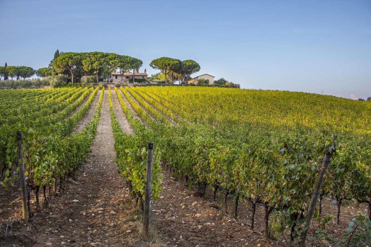 Vila Fattoria Di Magliano Winery Magliano in Toscana Exteriér fotografie