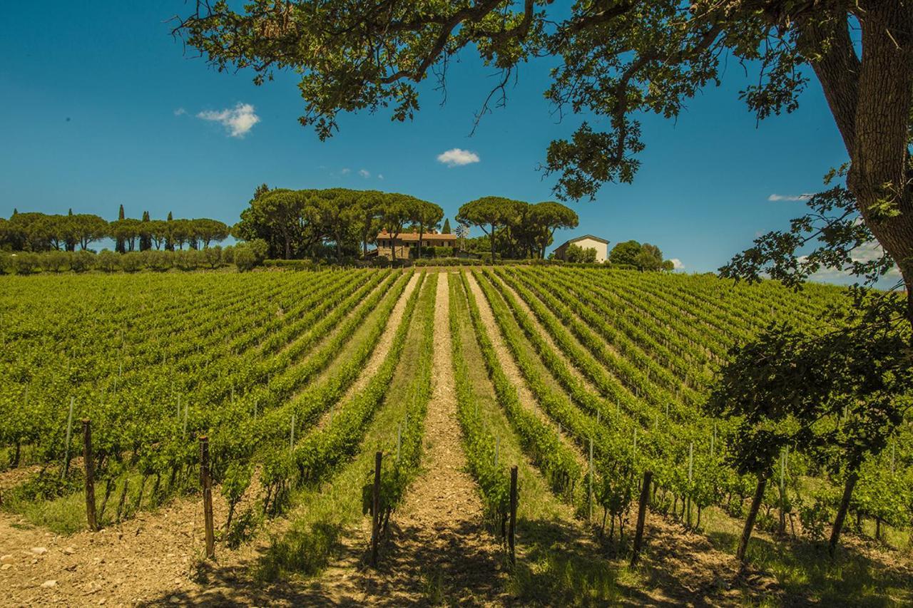 Vila Fattoria Di Magliano Winery Magliano in Toscana Exteriér fotografie