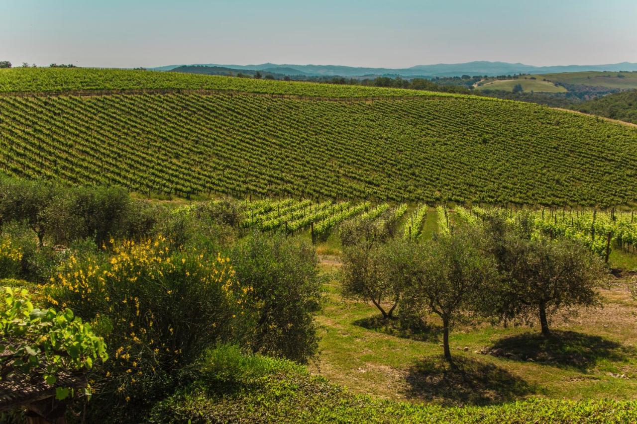 Vila Fattoria Di Magliano Winery Magliano in Toscana Exteriér fotografie