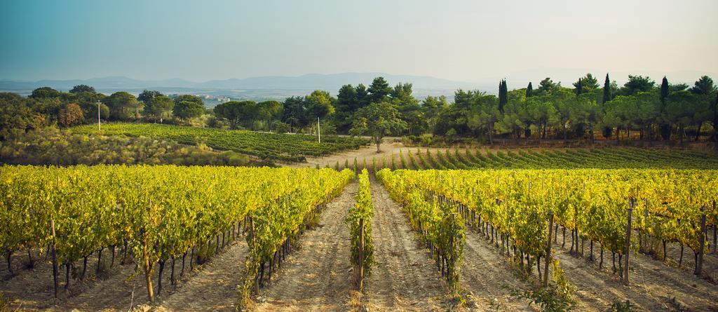 Vila Fattoria Di Magliano Winery Magliano in Toscana Exteriér fotografie